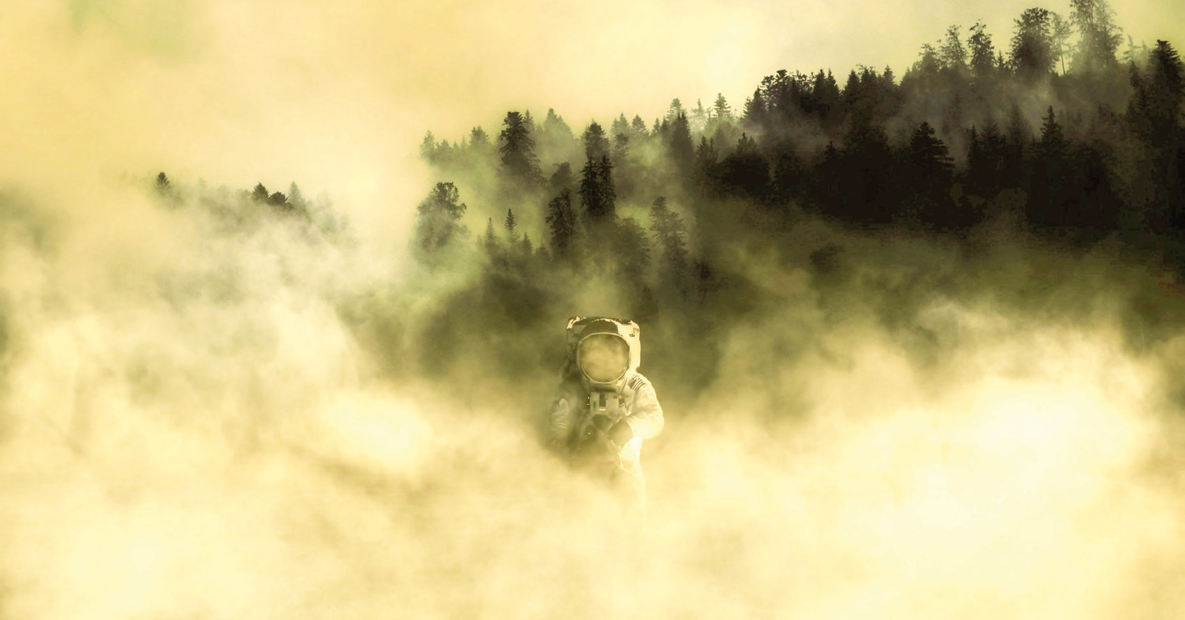 visuel d'un astronaute dans une foret de pin sous le brouillard