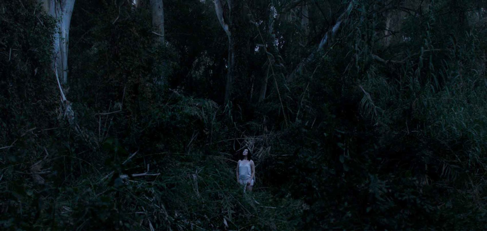 Une femme est debout au milieu d'une forêt