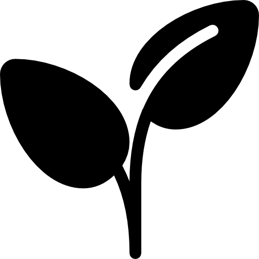 Rebecca Roger Cruz - La Soufflerie