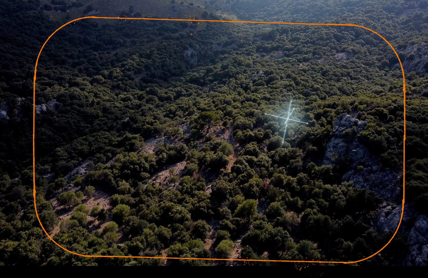 Photo d'une forêt rocheuse vue du ciel
