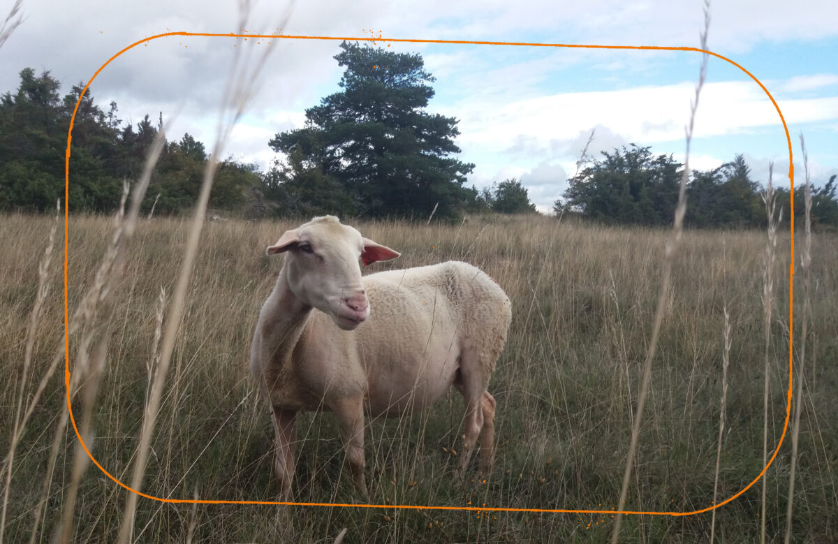 Larzac ! - La Soufflerie