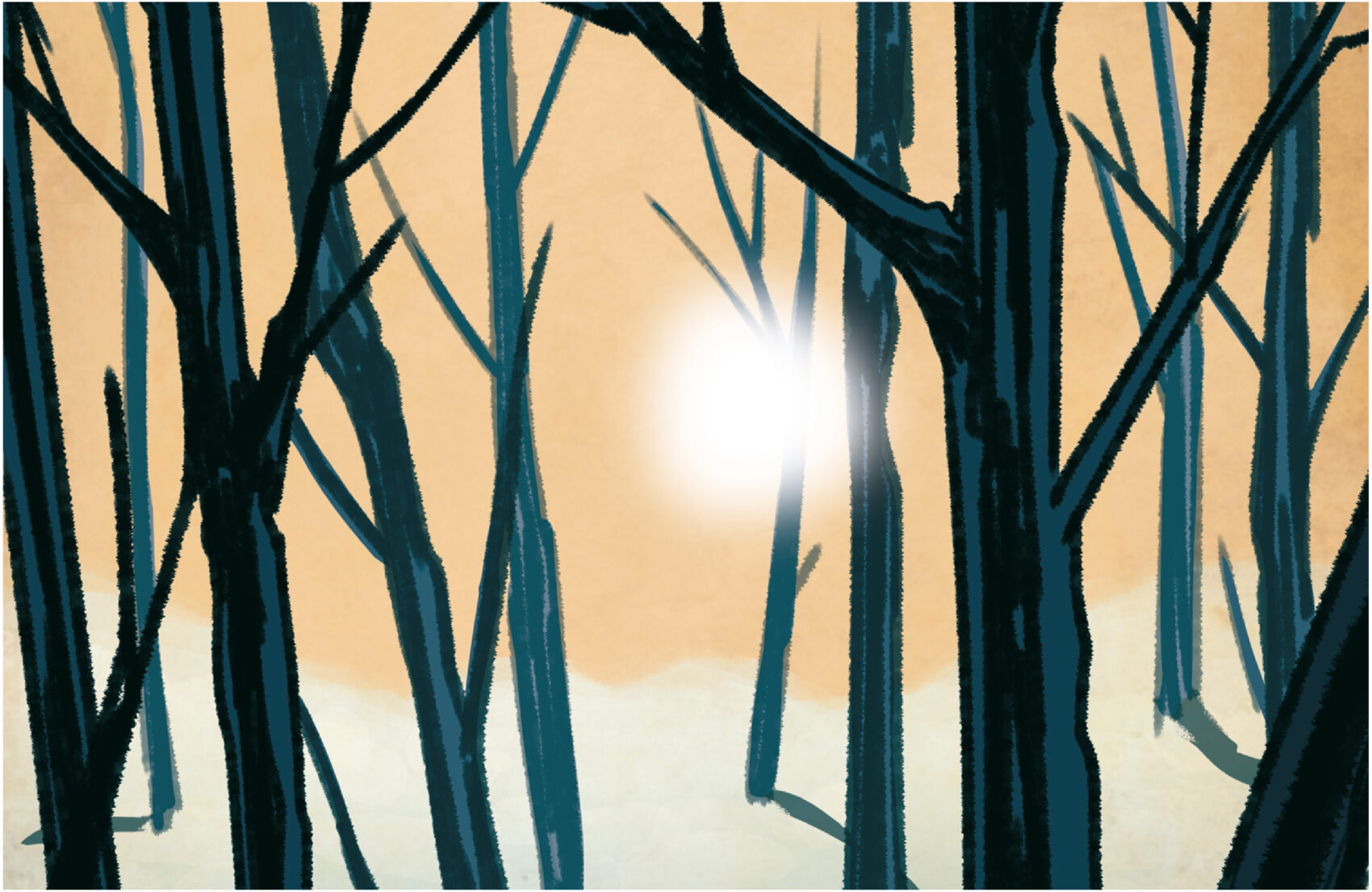 Illustration d'un soleil passant à travers les arbres d'une forêt