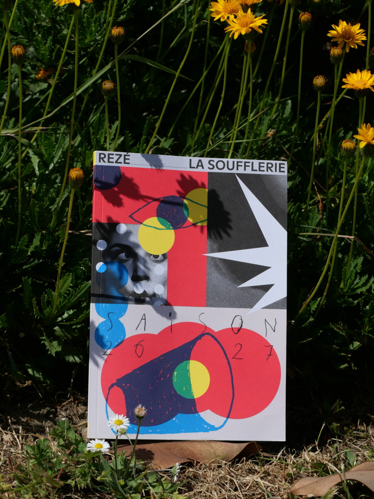 plaquette de saison 26-27 posée dans l'herbe, au milieu de fleurs jaunes